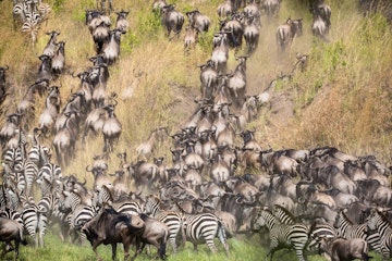 | Overnight at Sala's Camp