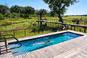 Xigera Safari Lodge image 2