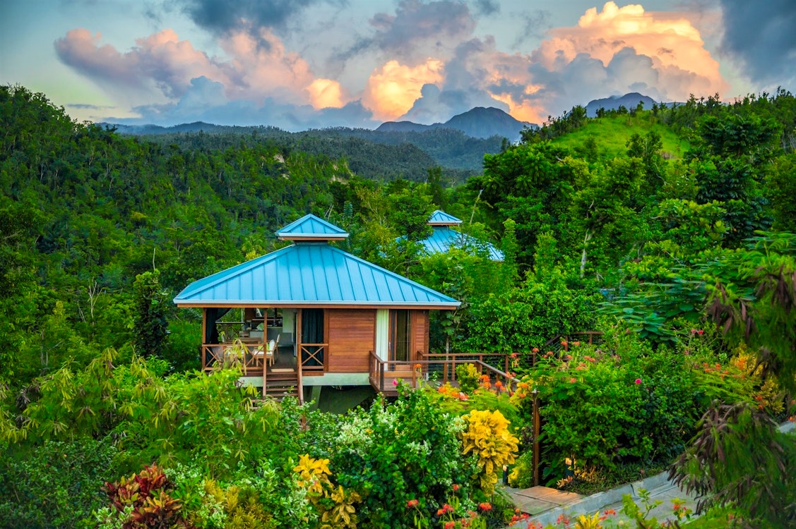 Ylang Ylang, Secret Bay, Dominica, Caribbean