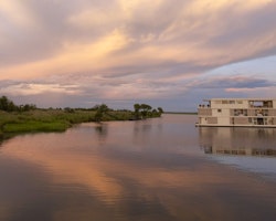 Zambezi Queen cruising along the river