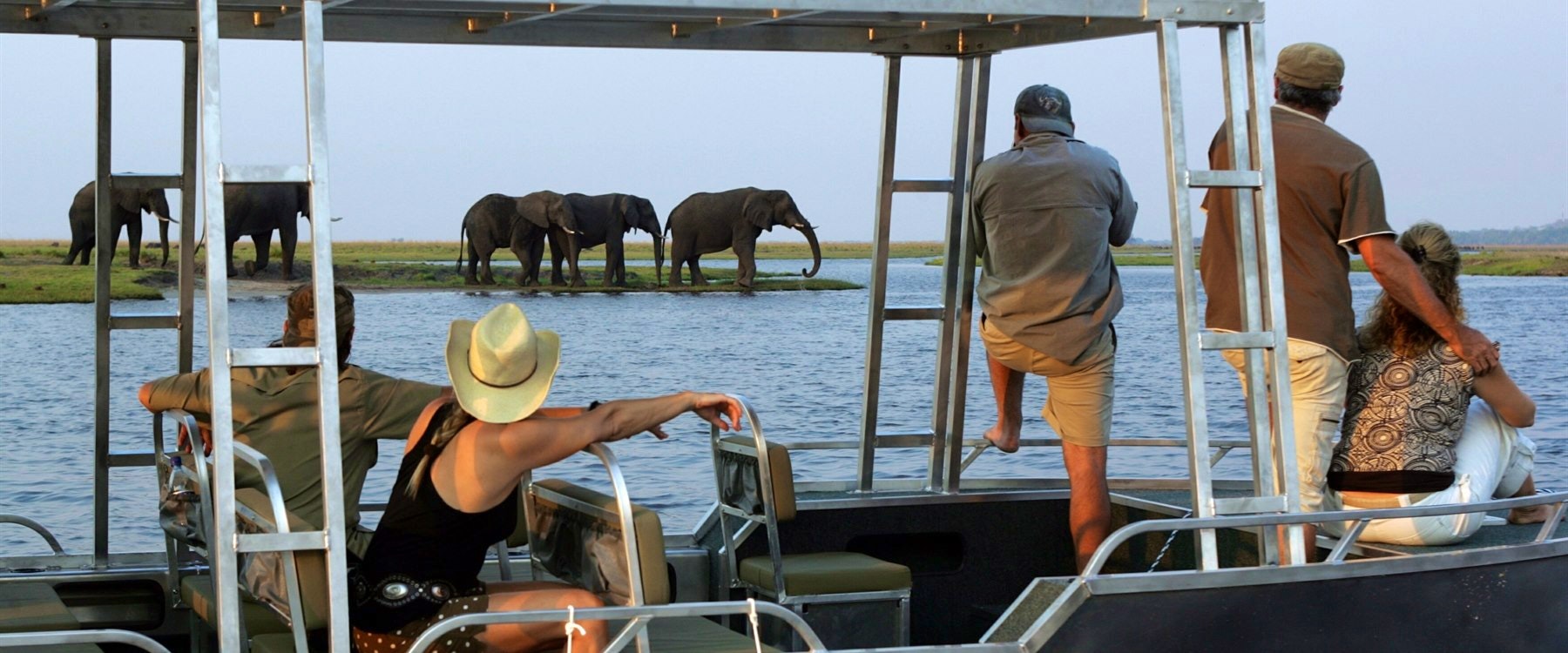 Game viewing, Zambezi Queen