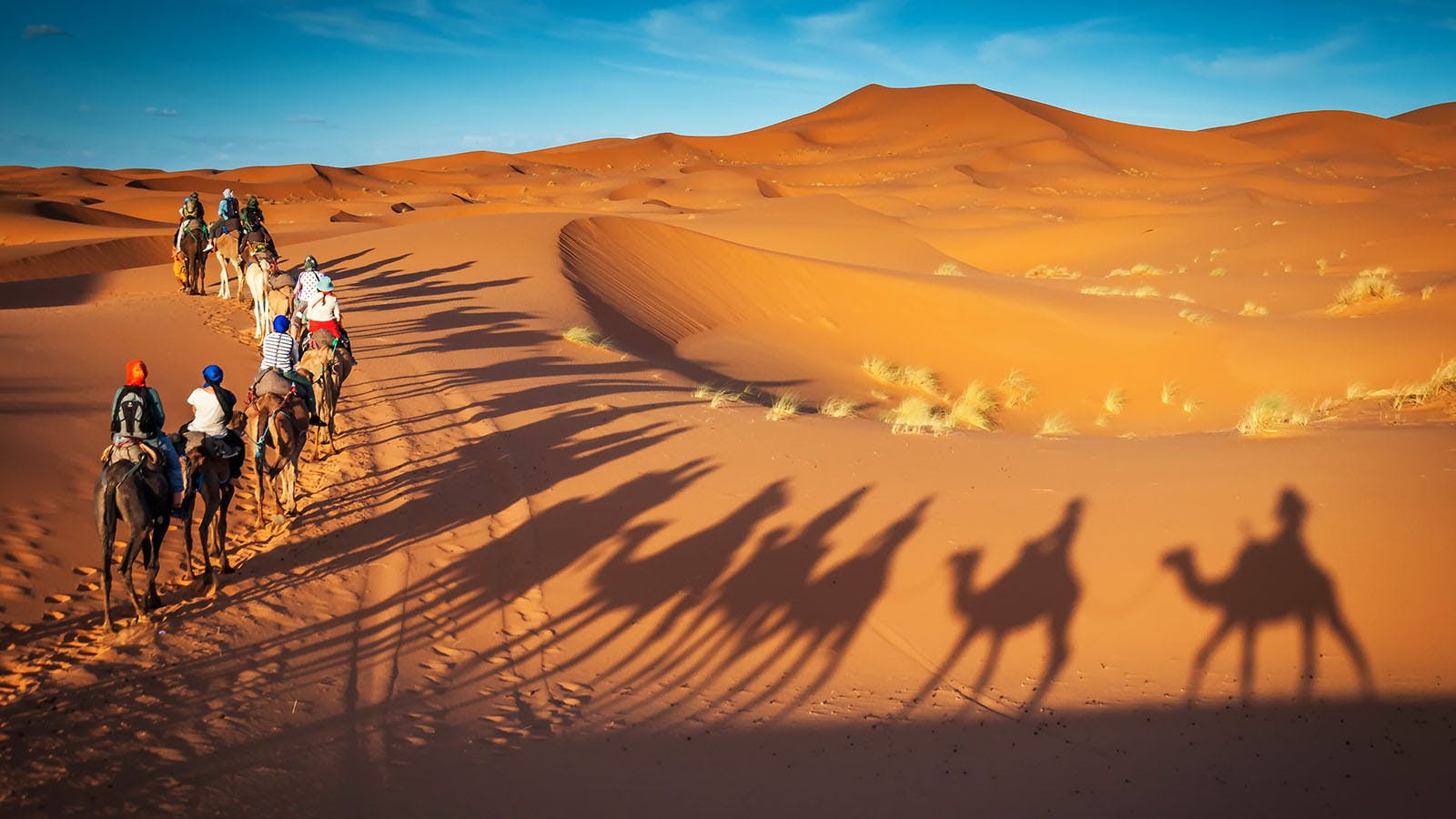 10 Amazing Things to Do in Dubai