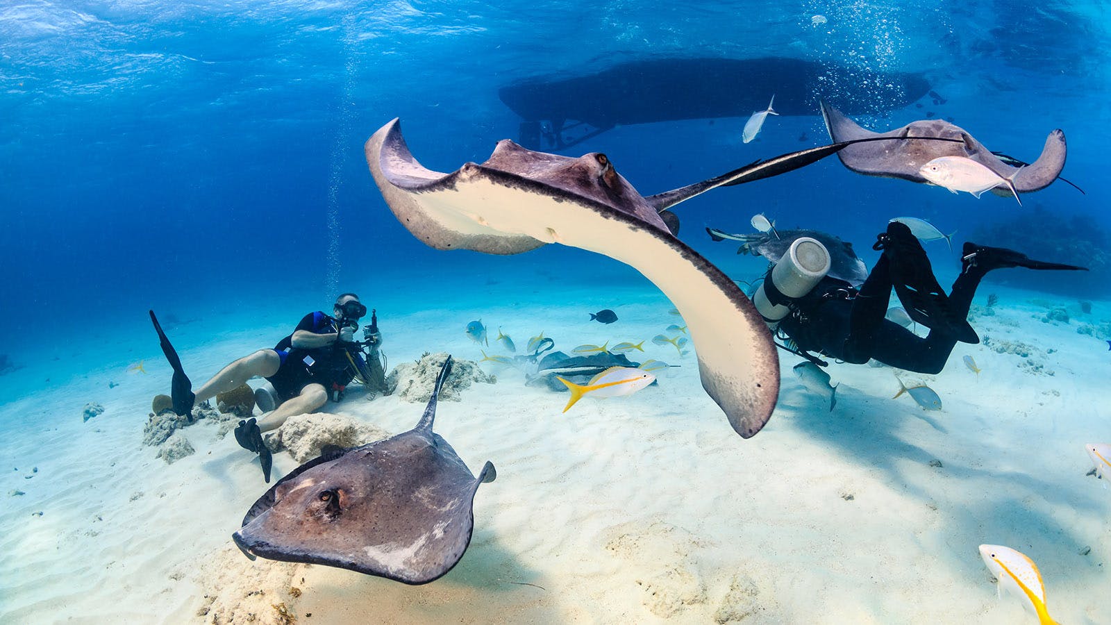 Top 9 Experiences in the Cayman Islands
