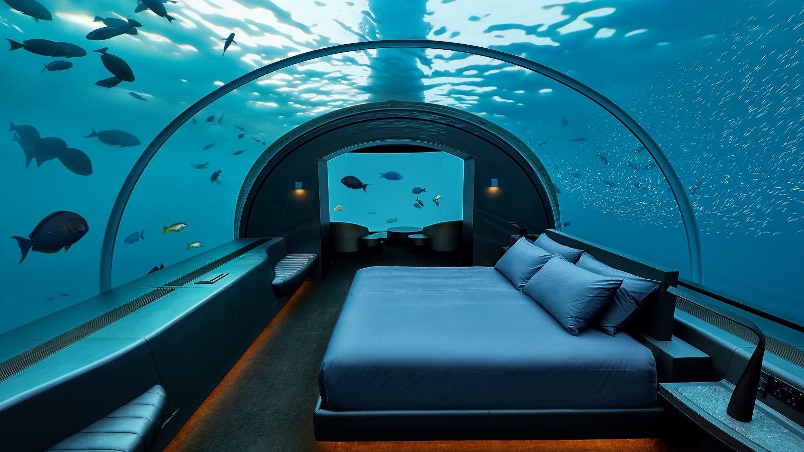 How and Where to Celebrate in Style