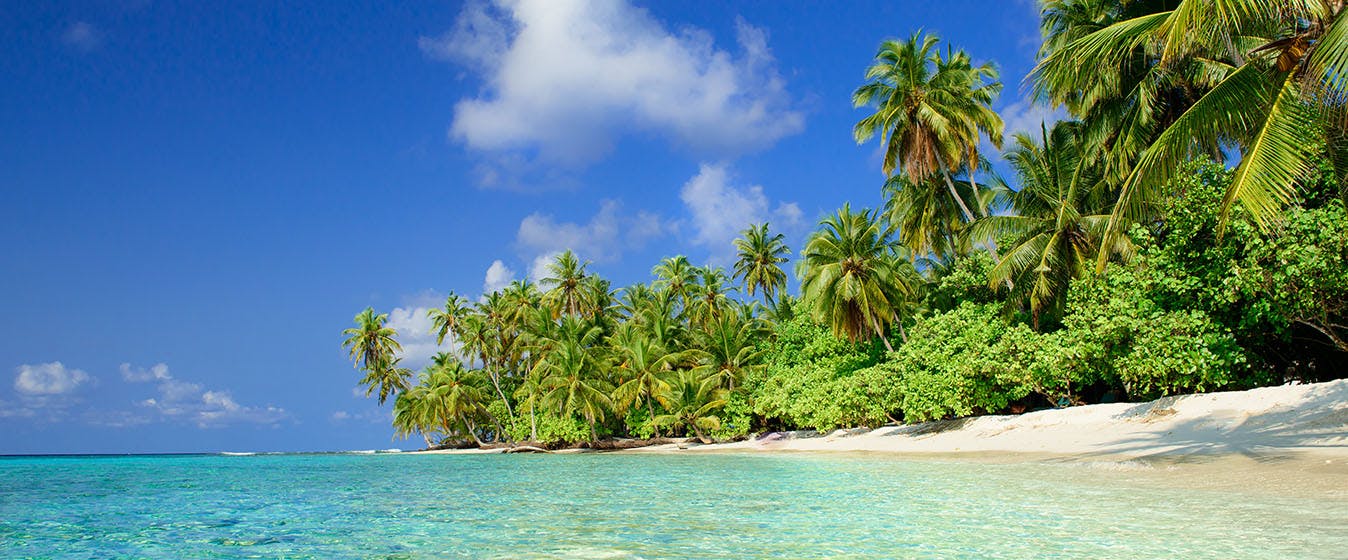 Welcome to Other Shores!