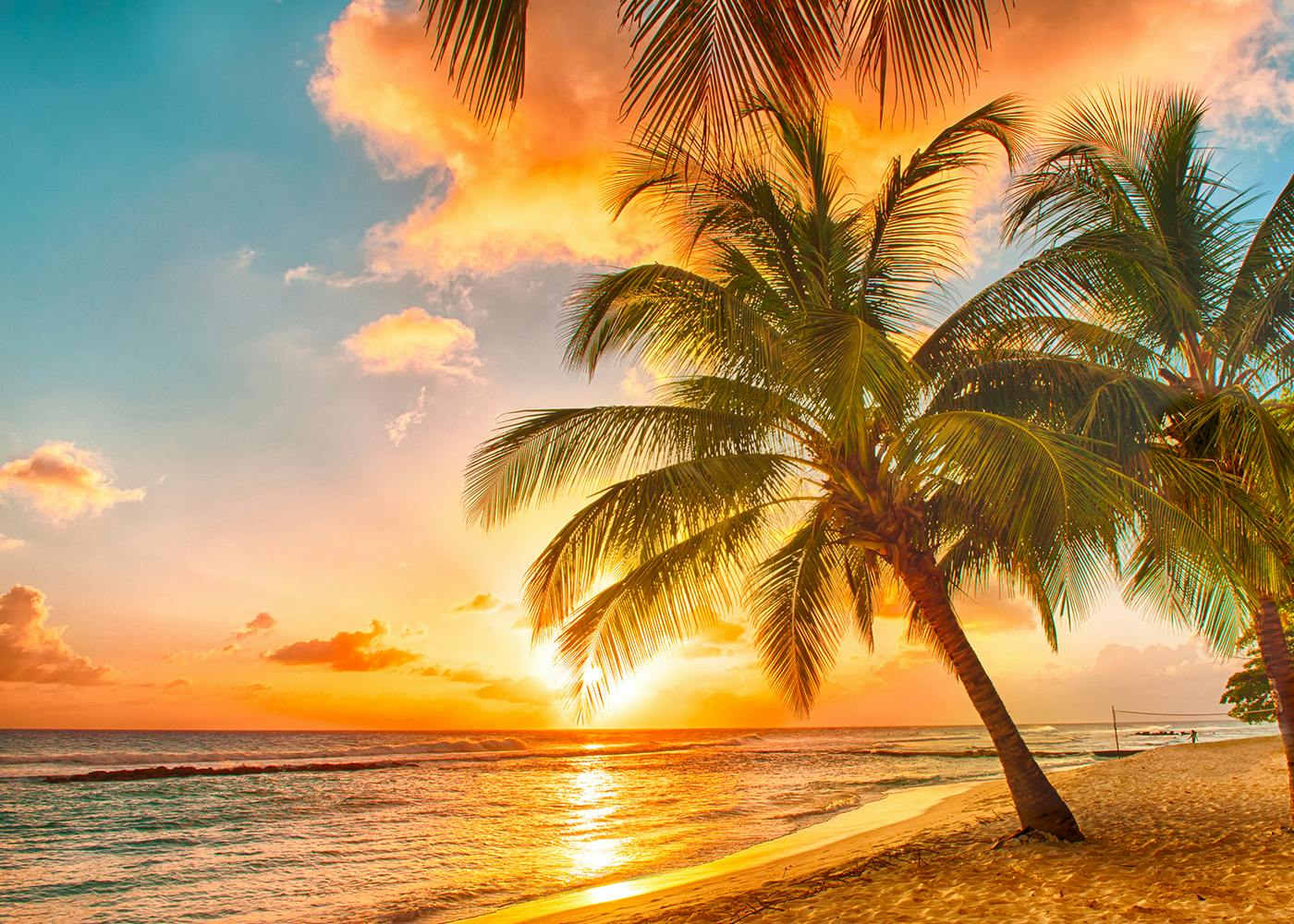 Where to Spend Christmas in the Caribbean