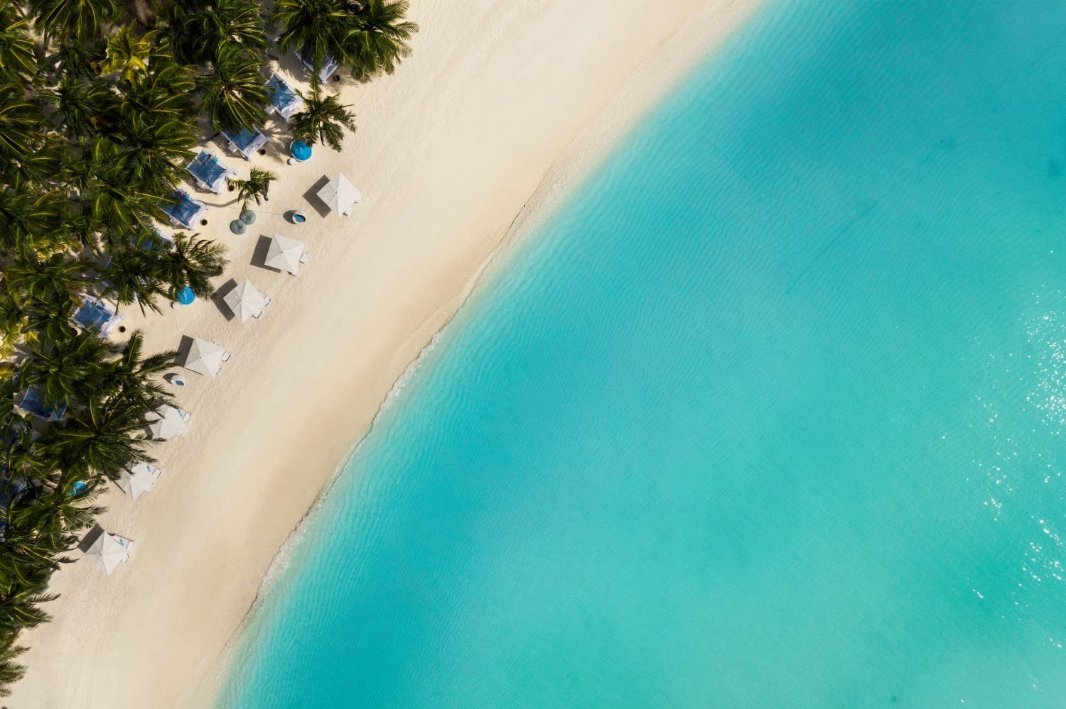 Why One&amp;Only Reethi Rah is a Paradise for Diving &amp; Snorkelling