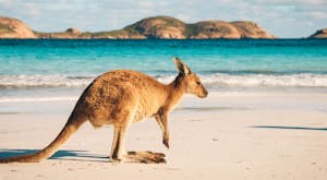 Discover Western Australia's Southern Highlights