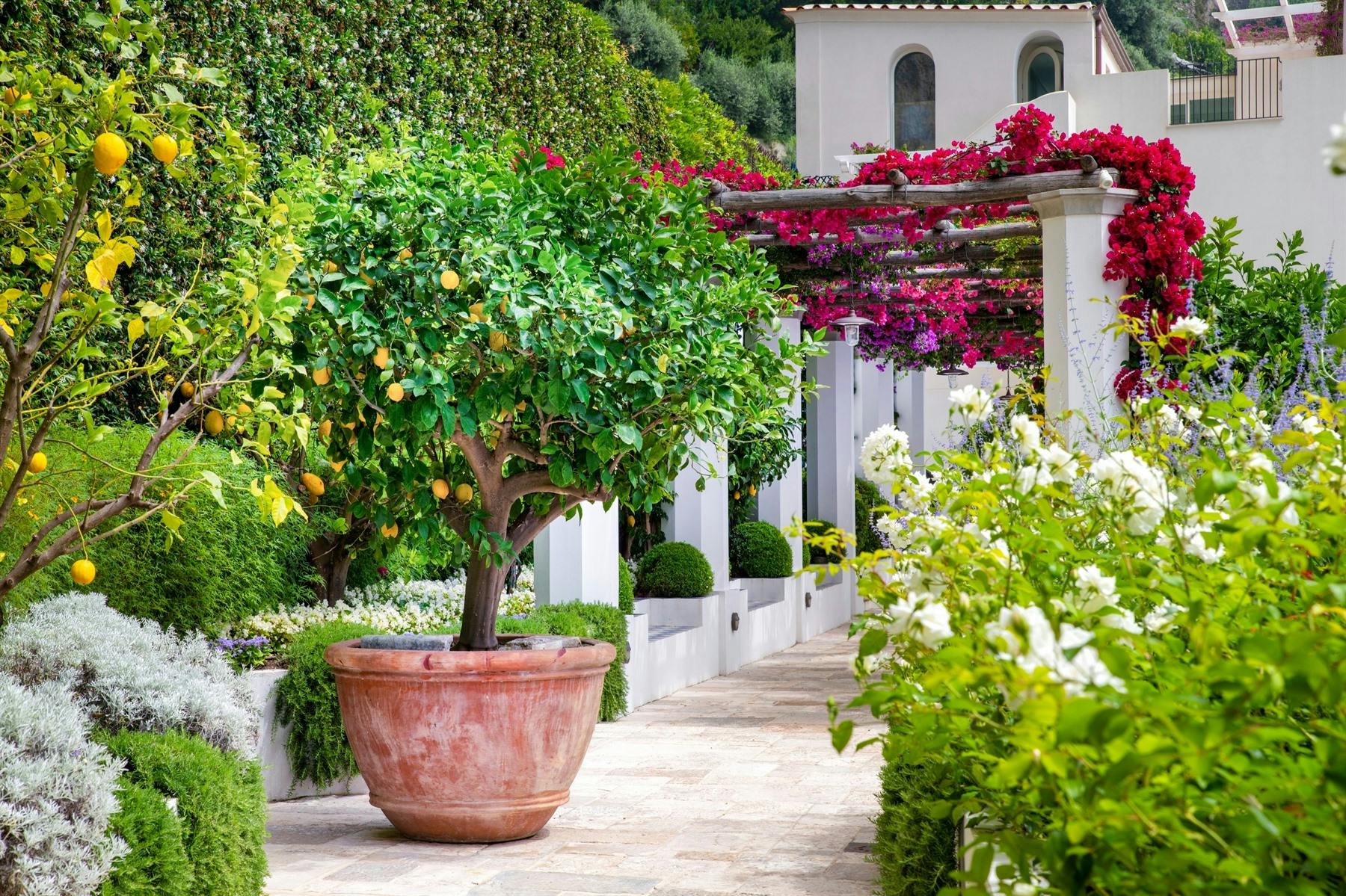Garden, Borgo Santandrea, Amalfi Coast, Italy