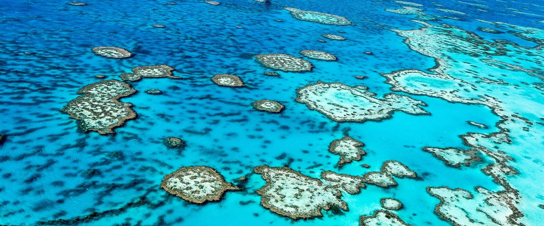 Great Barrier Reef