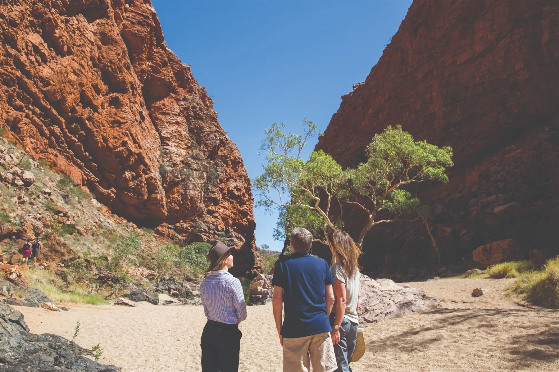 Australia's Iconic Rail Journeys image 3
