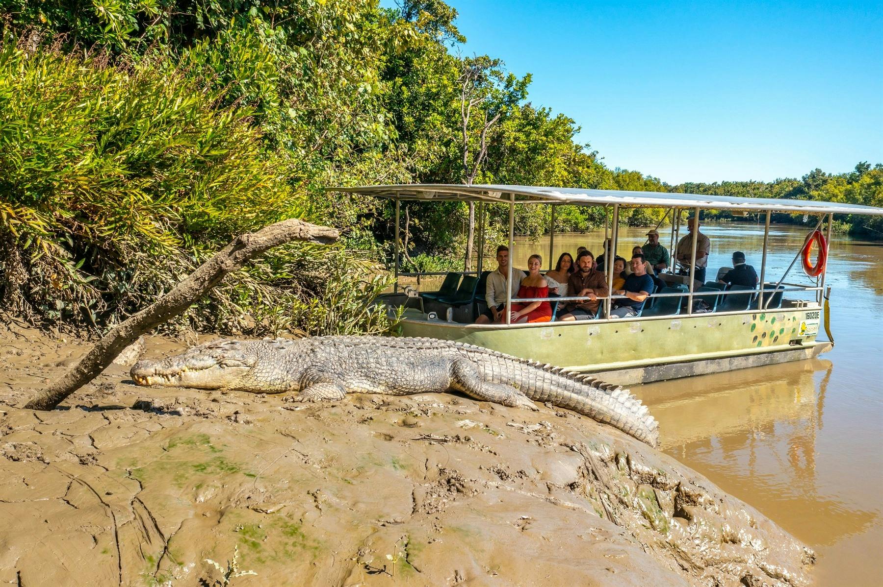 Crocodile Safari