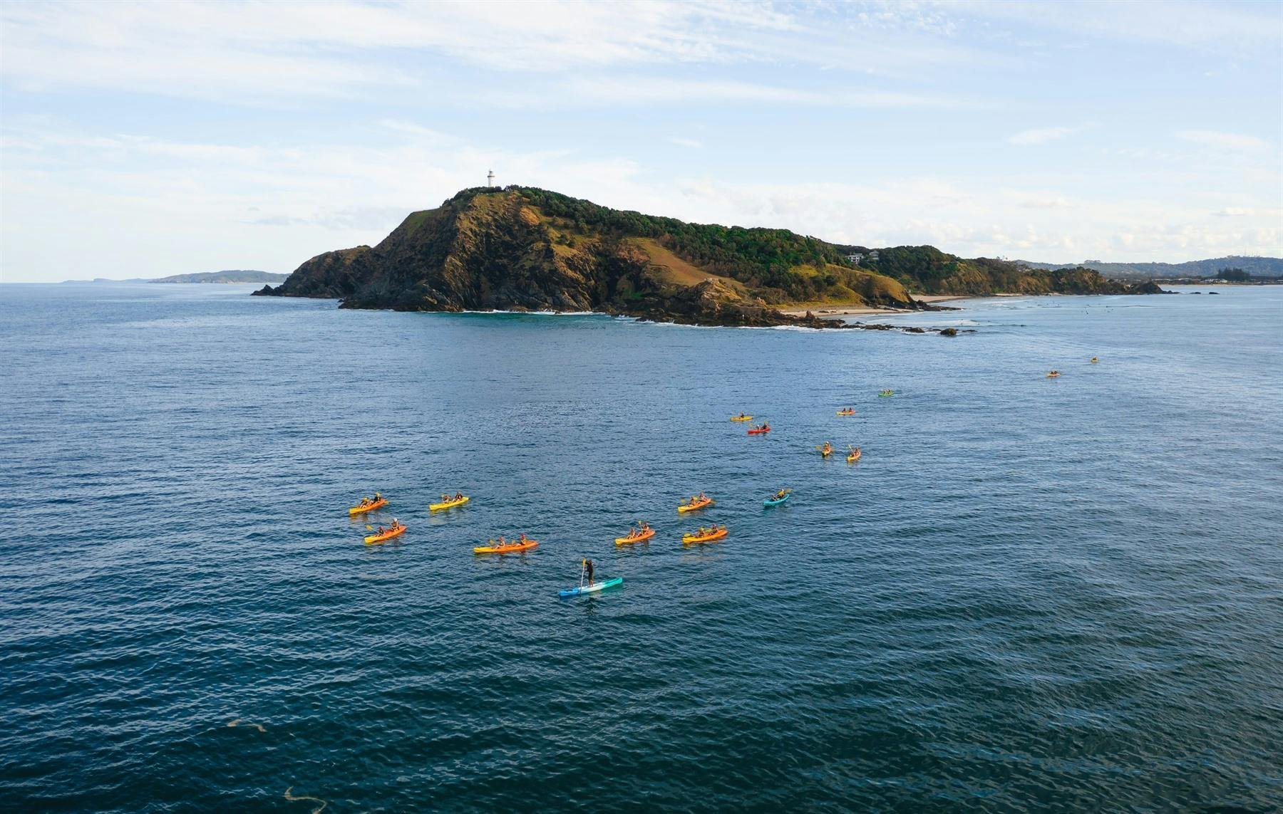 Learning to Surf and Kayaking with Dolphins