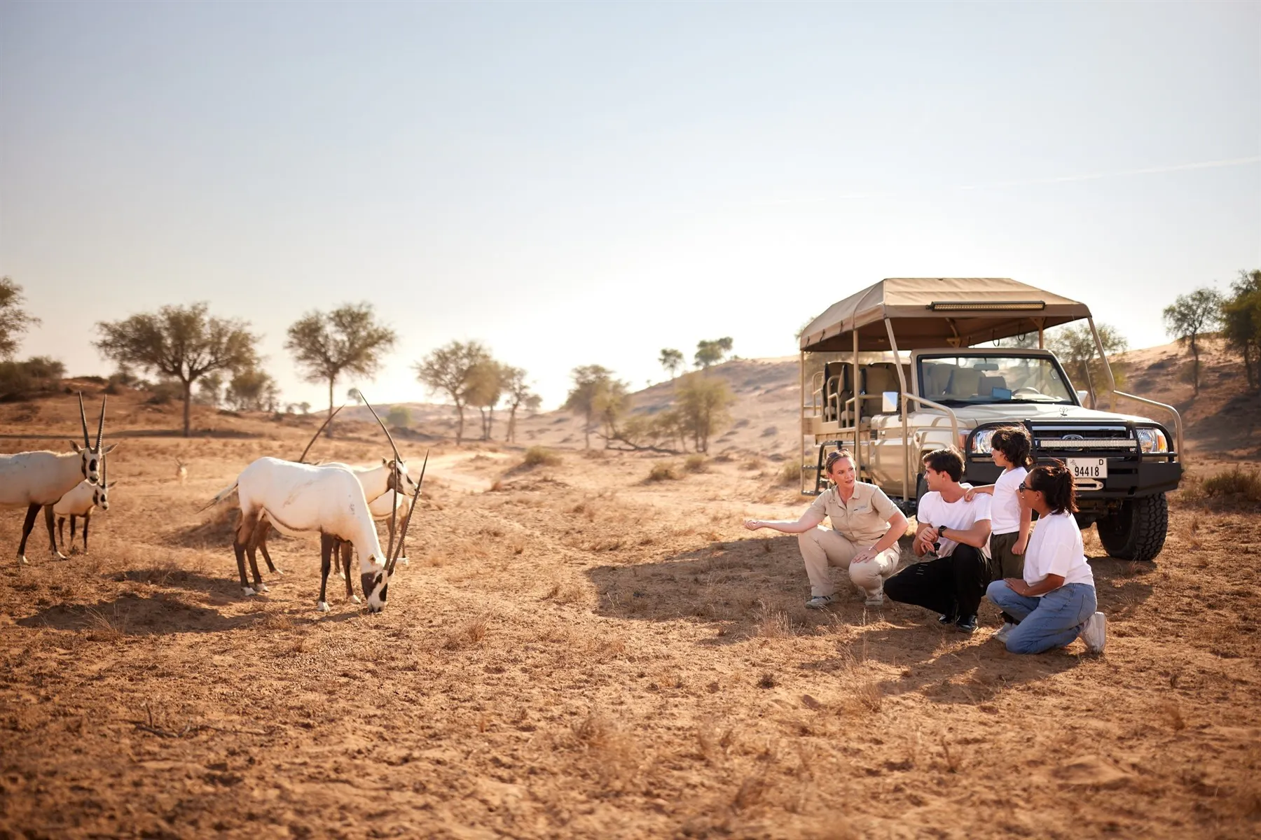 Experiences at The Ritz-Carlton Ras Al Khaimah, Al Wadi Desert