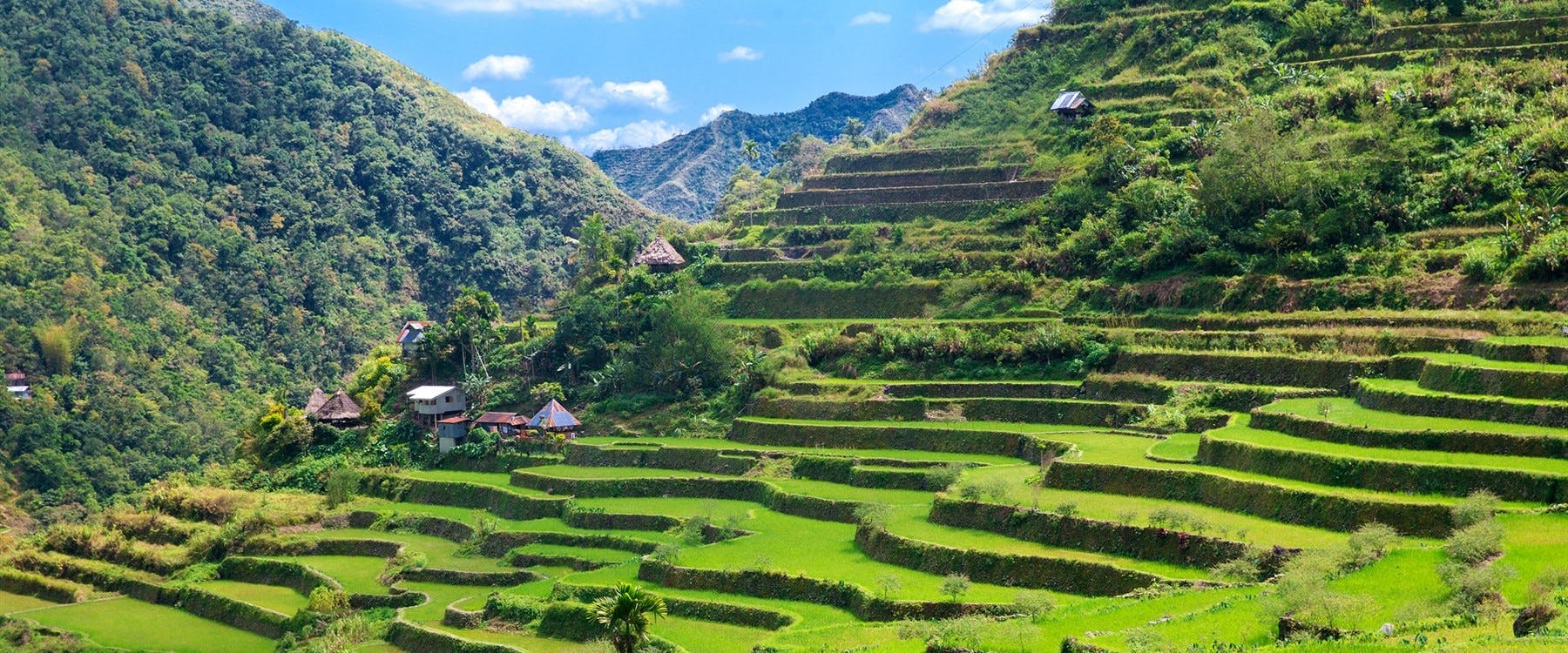 Manila – Cauayan - Banaue