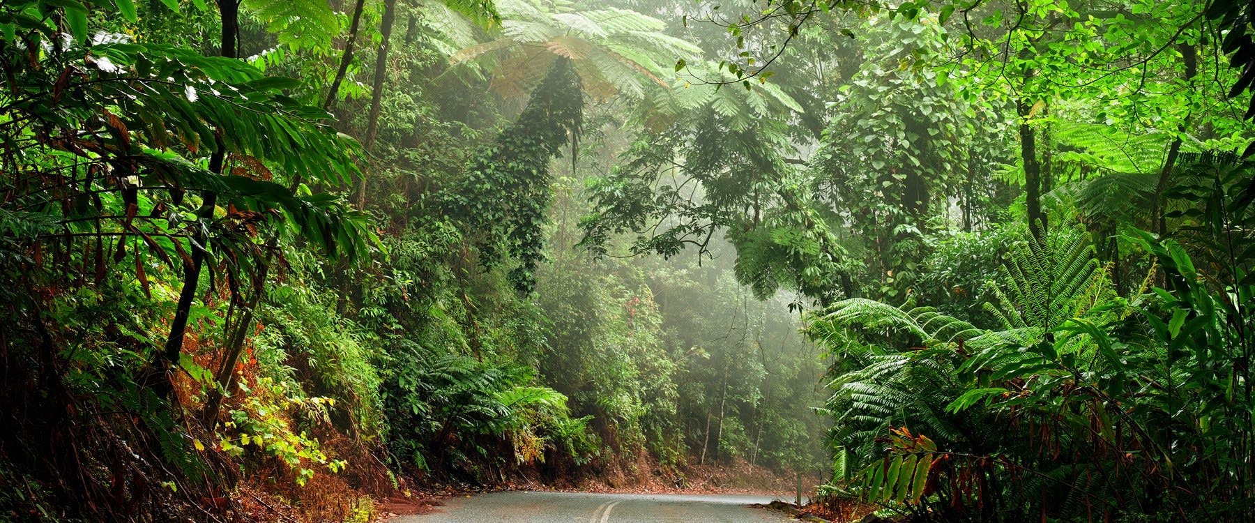 Tropical North Queensland