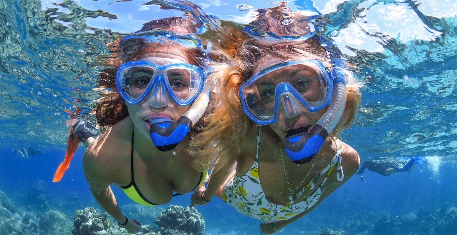 Great Barrier Reef Cruise and Snorkel