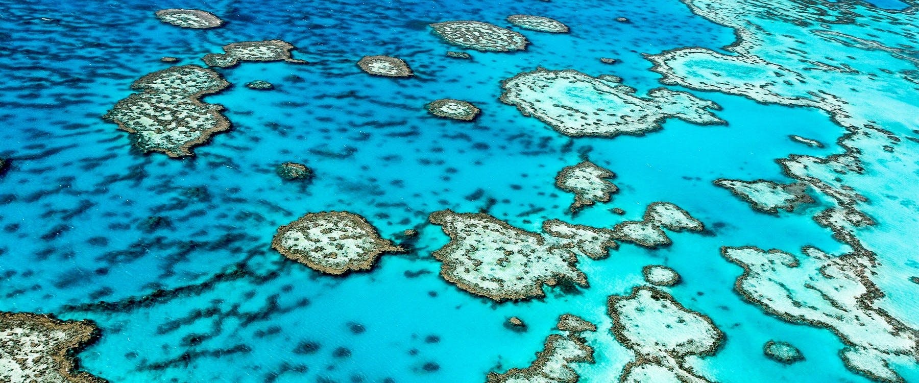 Helicopter flight and landing at Great Barrier Reef