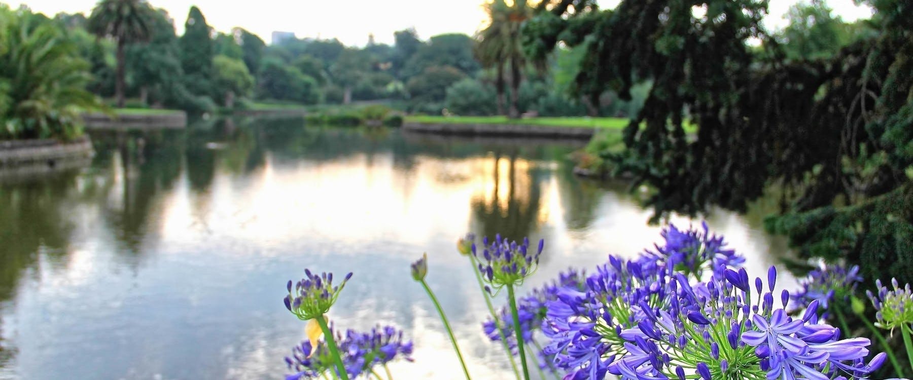 Sorrento to Melbourne (67 miles)