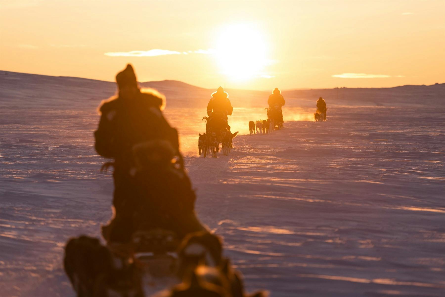 Husky sledding, Holmen Husky Lodge, Norway