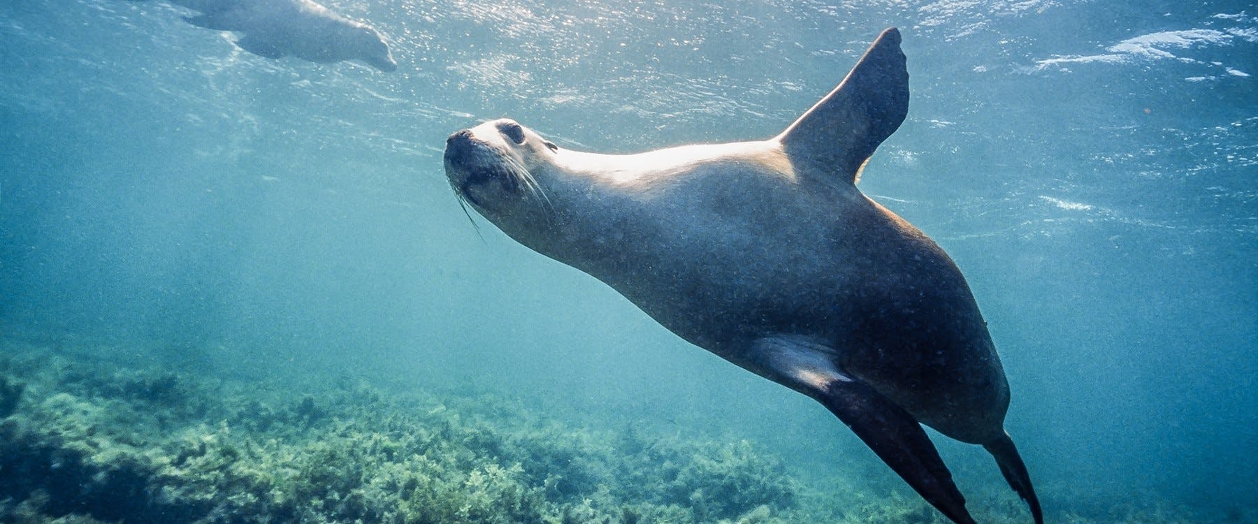 Cervantes to Geraldton (140 miles)