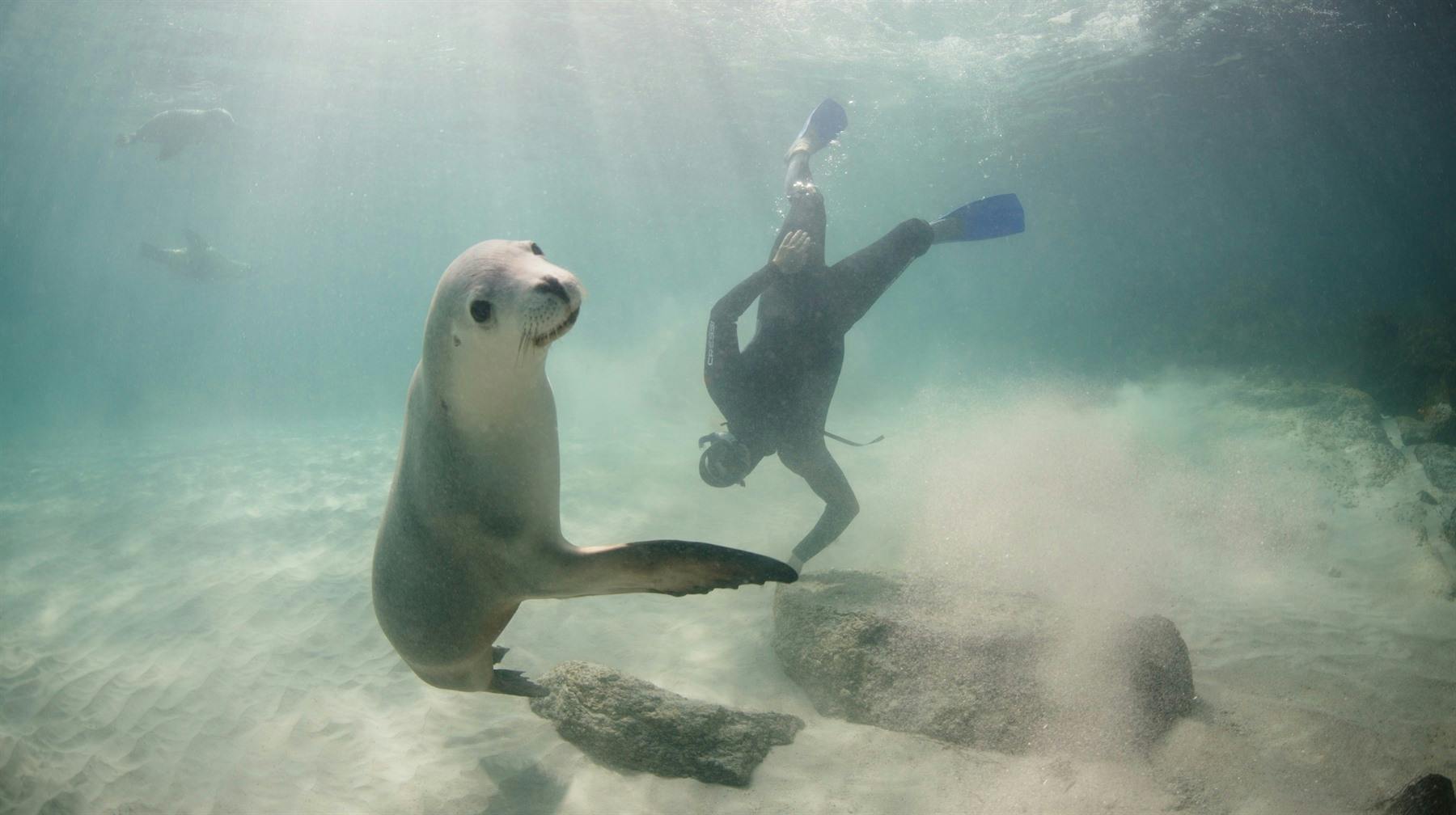 Coffin Bay Oysters, Ocean and Nature