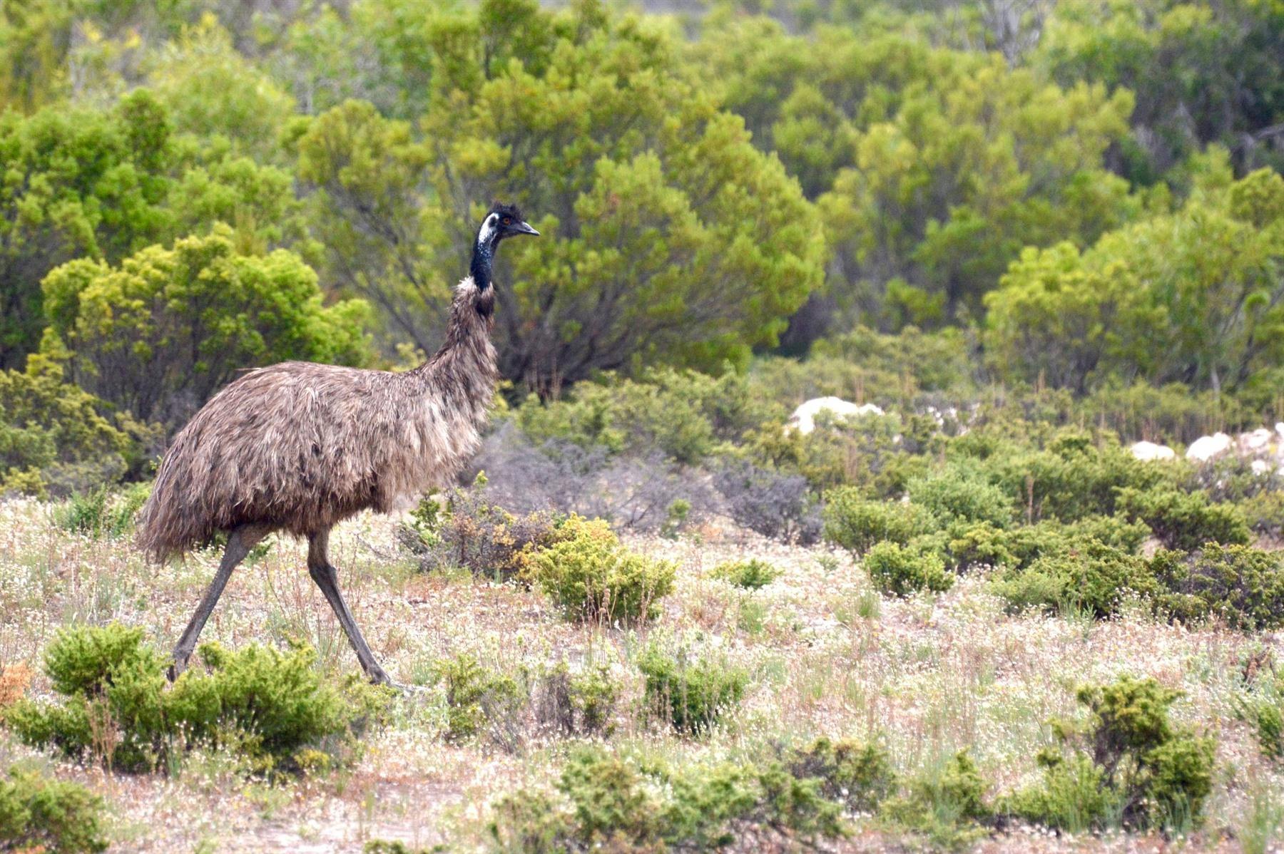 Hunt and Gather Seafood