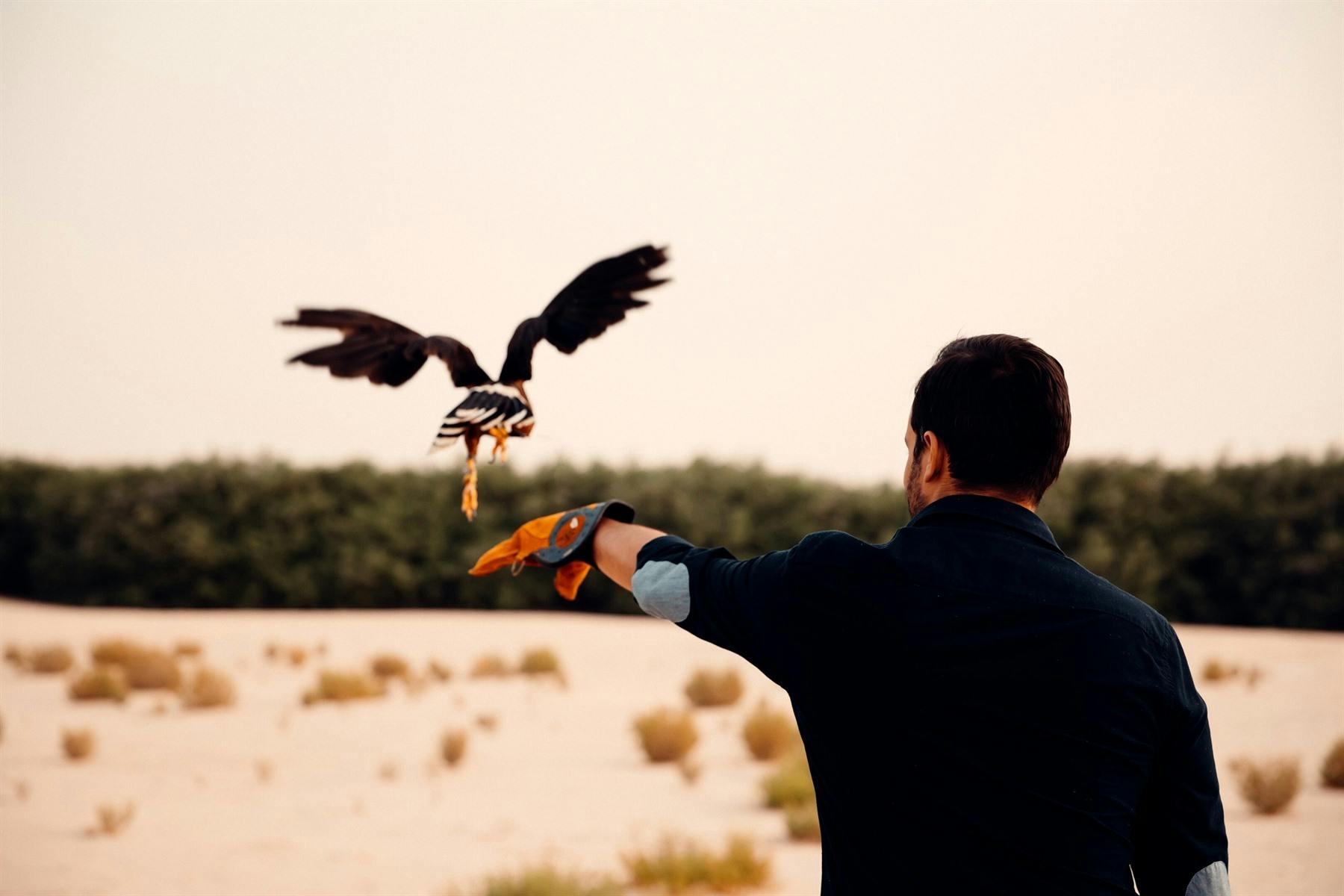 Falcon Show, Al Wathba, a Luxury Collection Desert Resort & Spa
