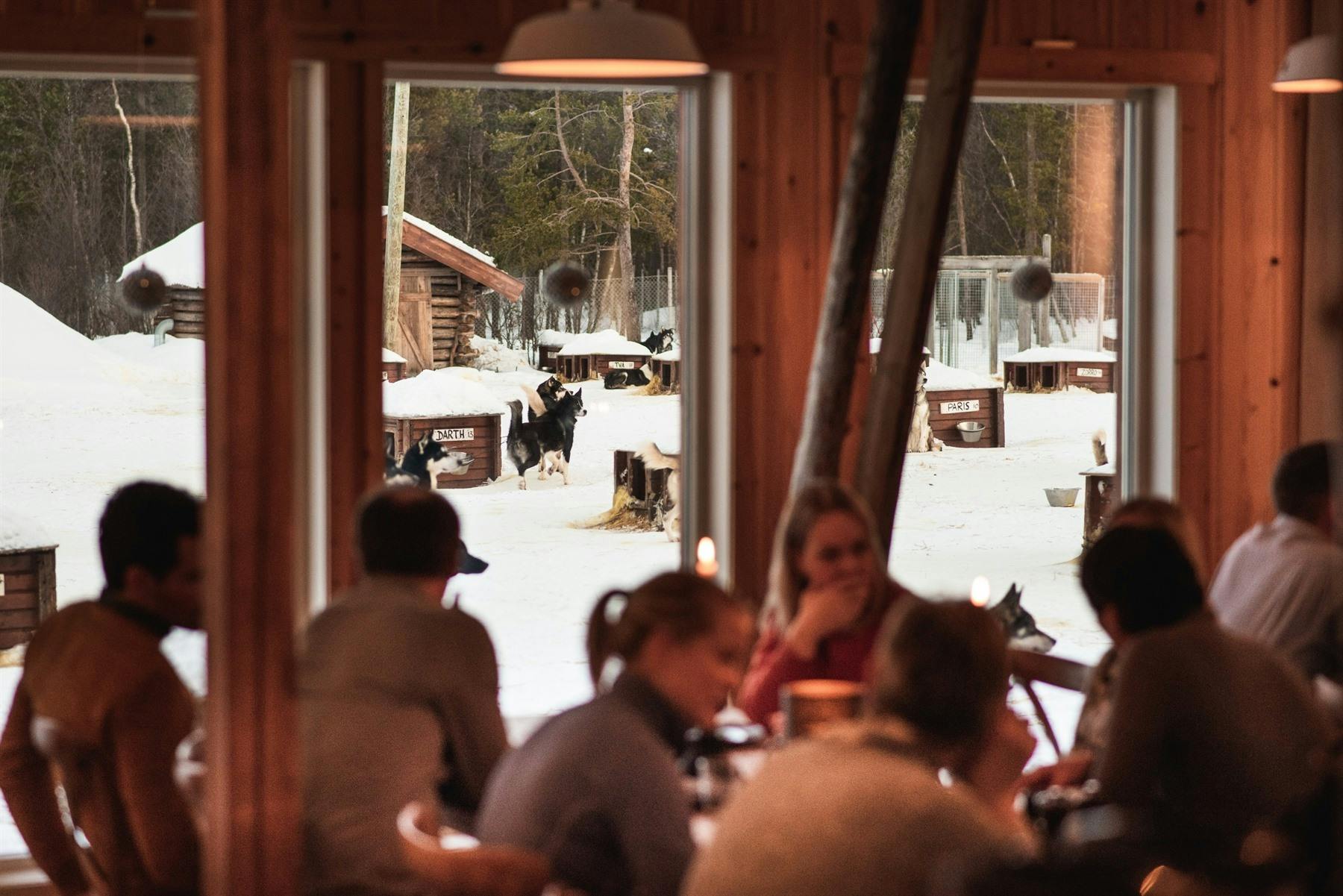 Restaurant, Holmen Husky Lodge, Norway