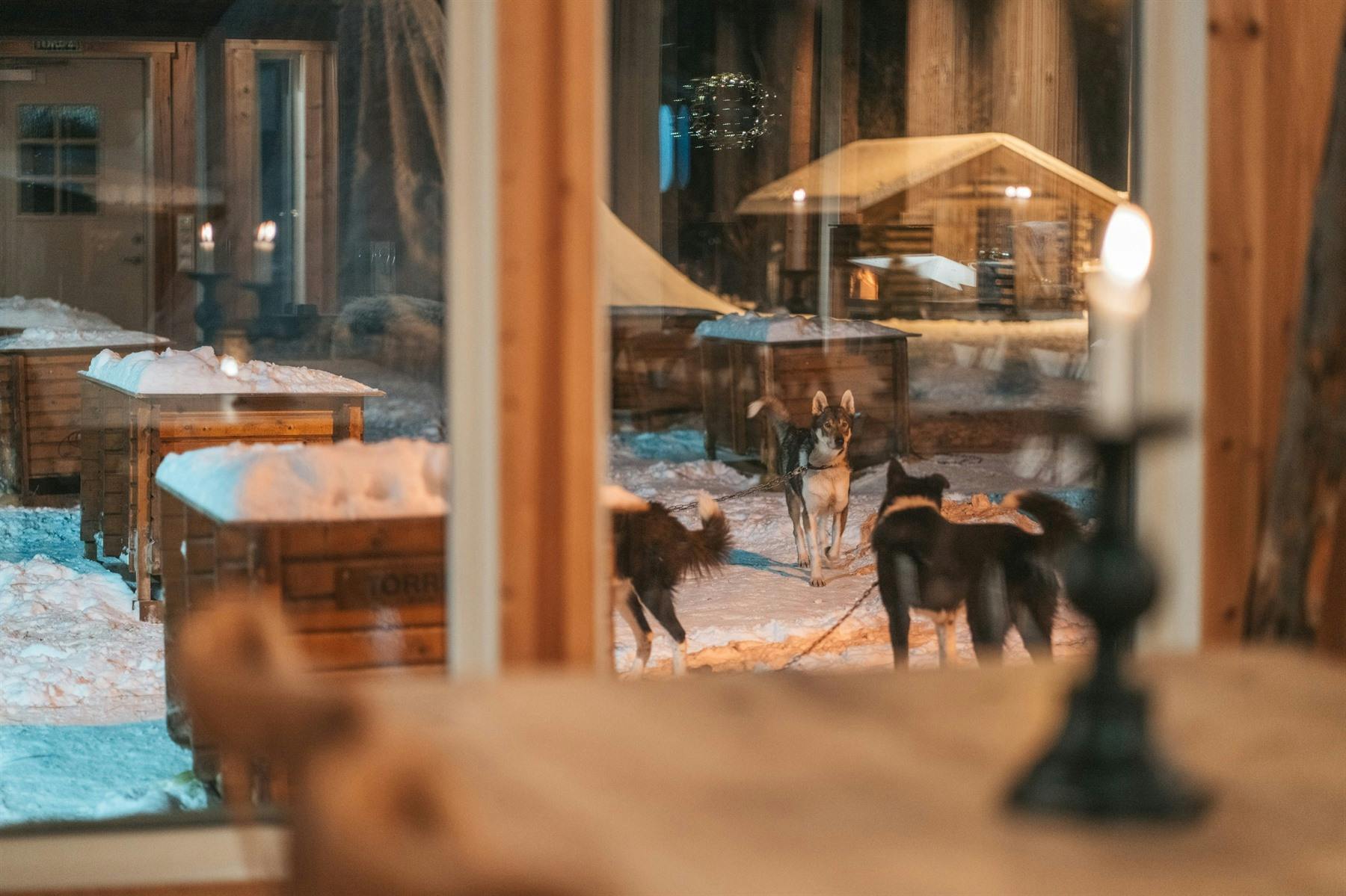 View from Restaurant, Holmen Husky Lodge, Norway
