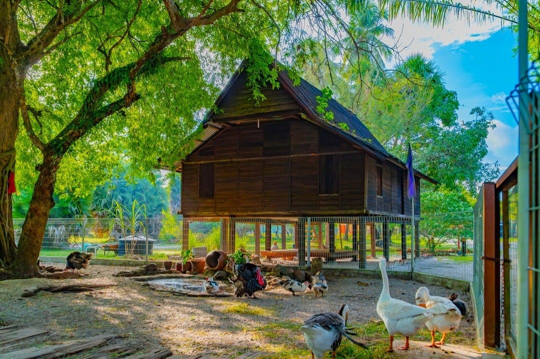 KiKi Farm, Pelangi Beach Resort & Spa, Langkawi, Malaysia
