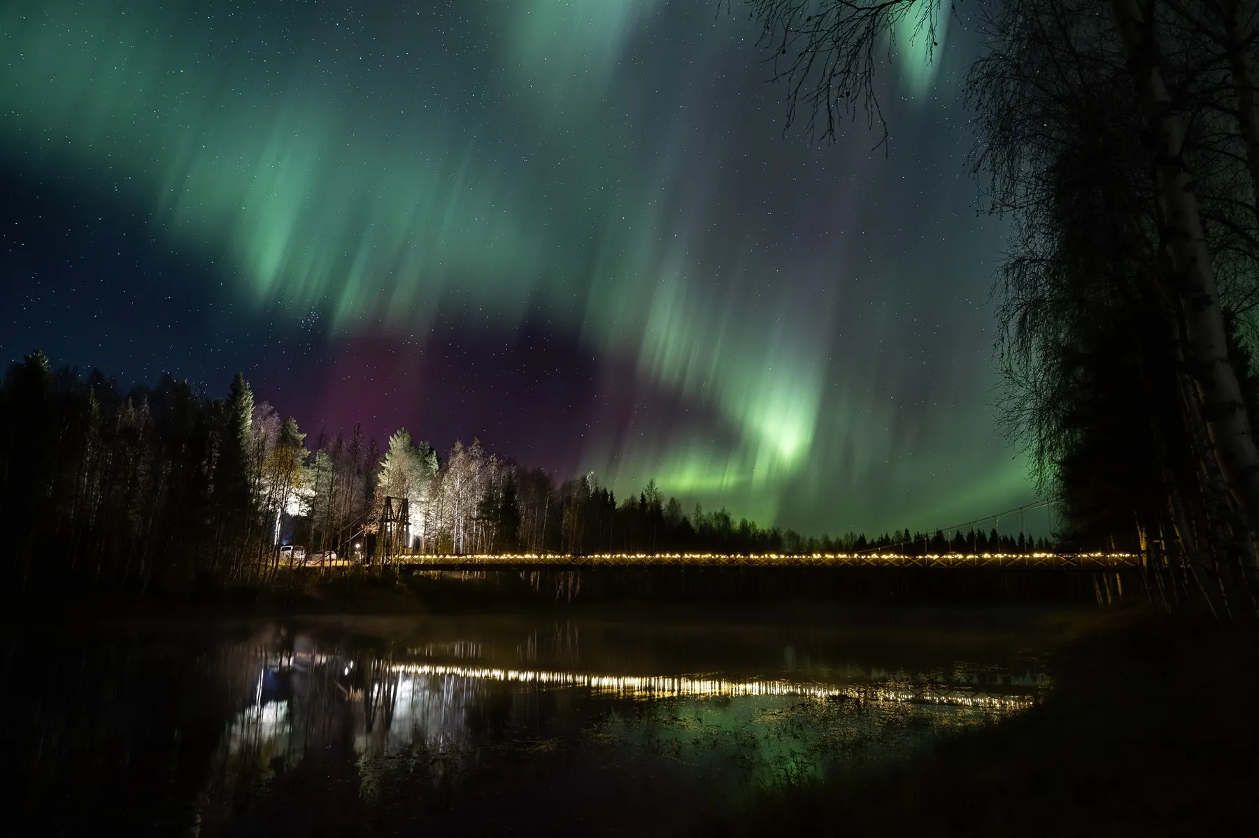 Aino Private Island Hotel image 3