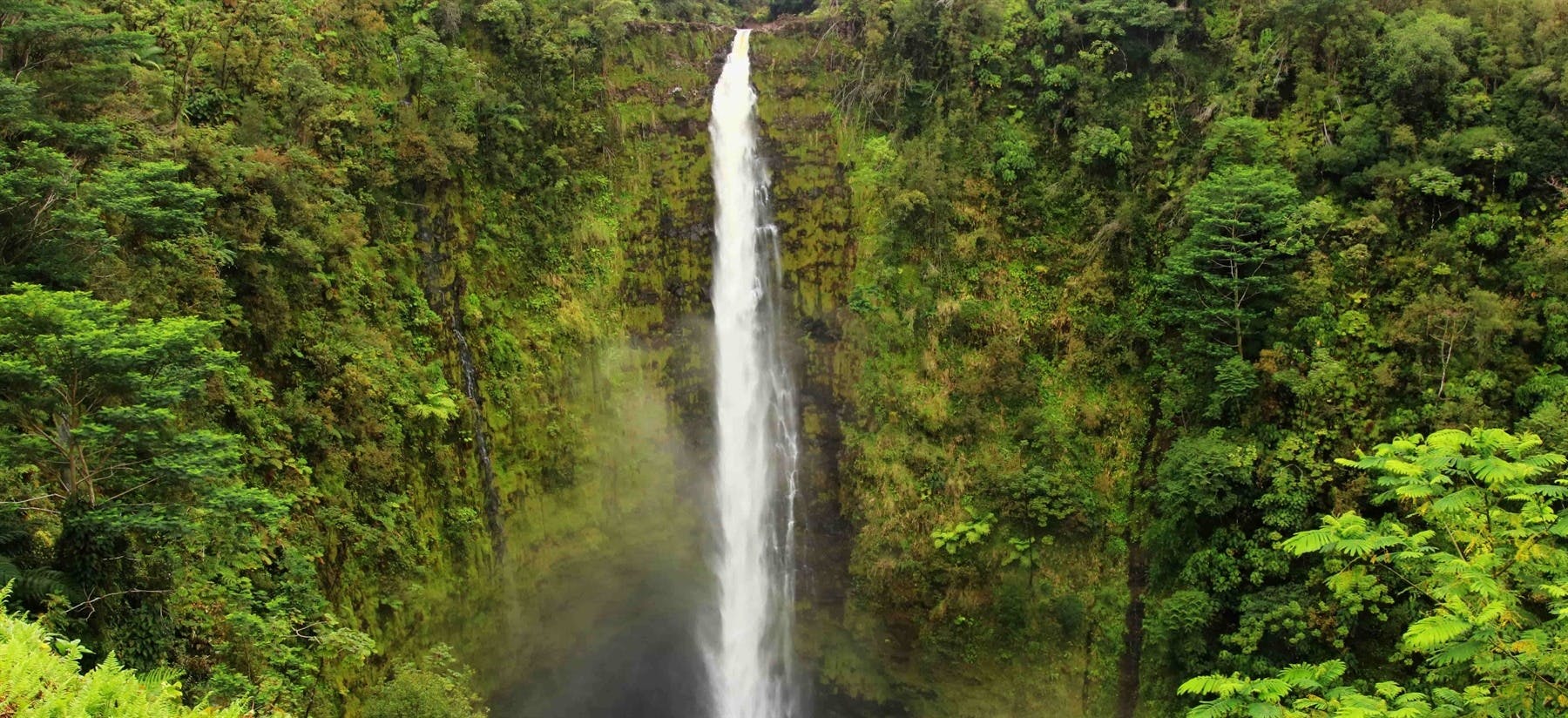 | 6 December, 2025 | Hilo, Hawaii