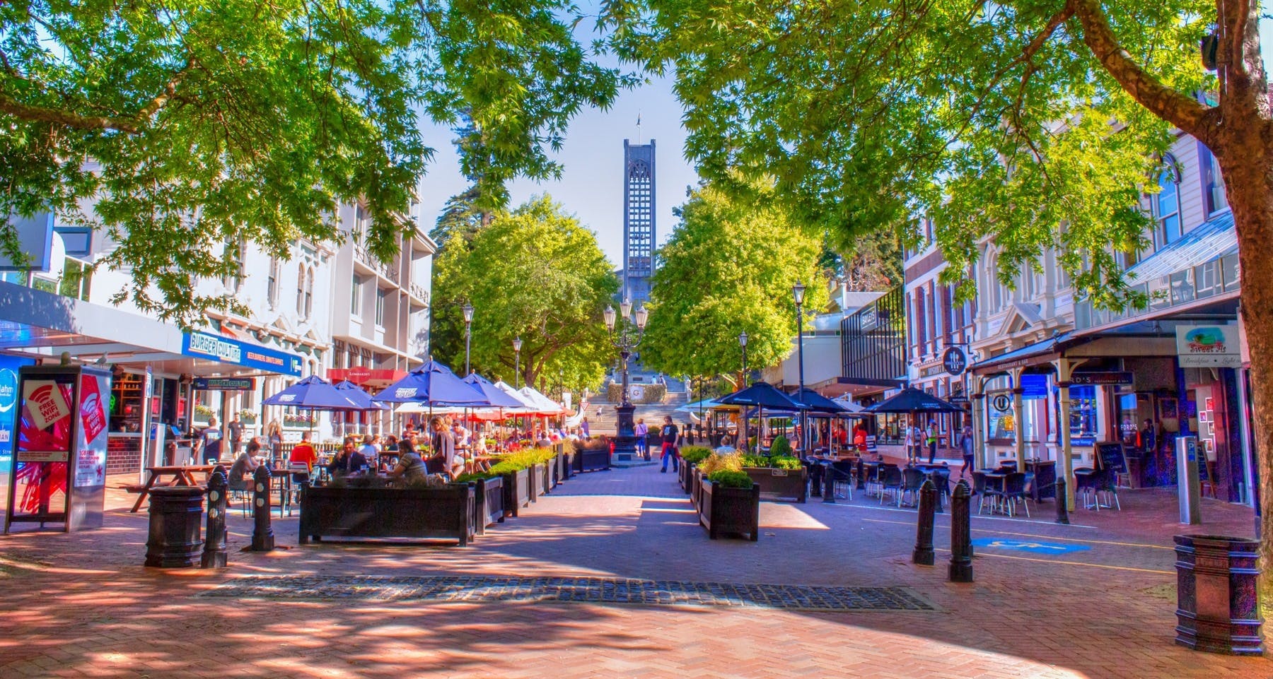 Nelson Art and Wine Tour