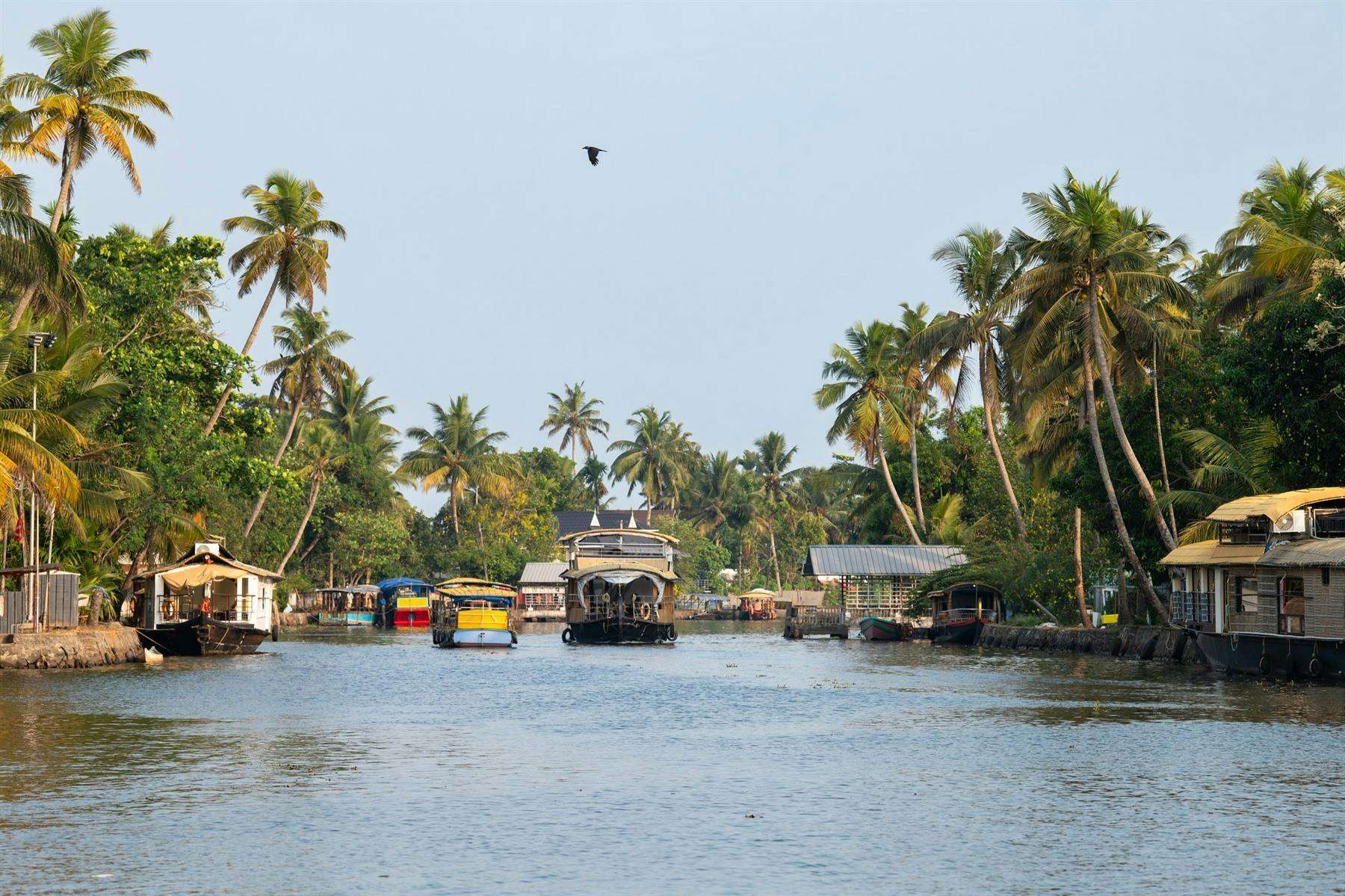 | Kochi – Alappuzha