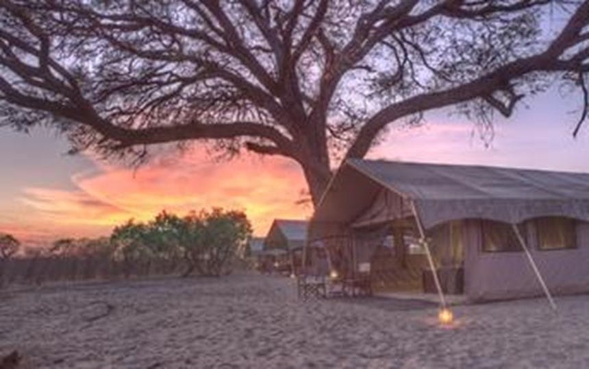 | Savuti, Chobe National Park