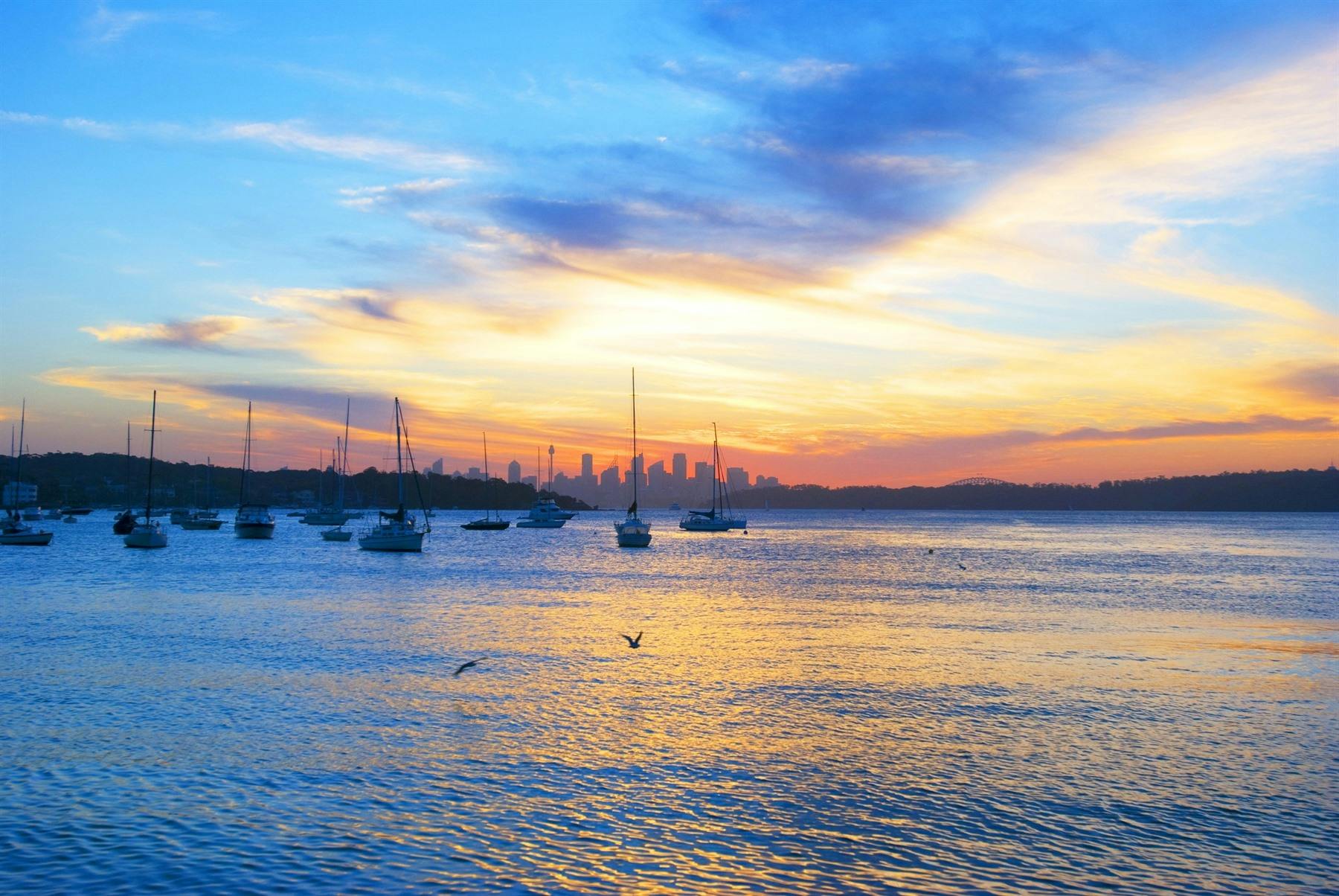 Sydney Harbour Lunch Cruise