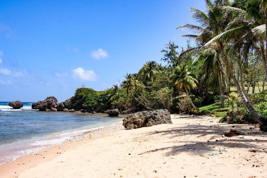 | 18 - 21 November 2025 | Fly UK to Barbados