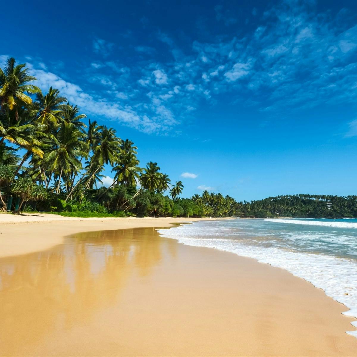 Return home or extend your tour on the Beach