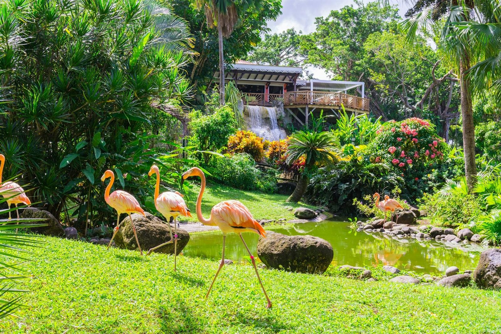 Discover Guadeloupe Caribbean holiday ideas for 2021