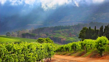 Cape Winelands, South Africa