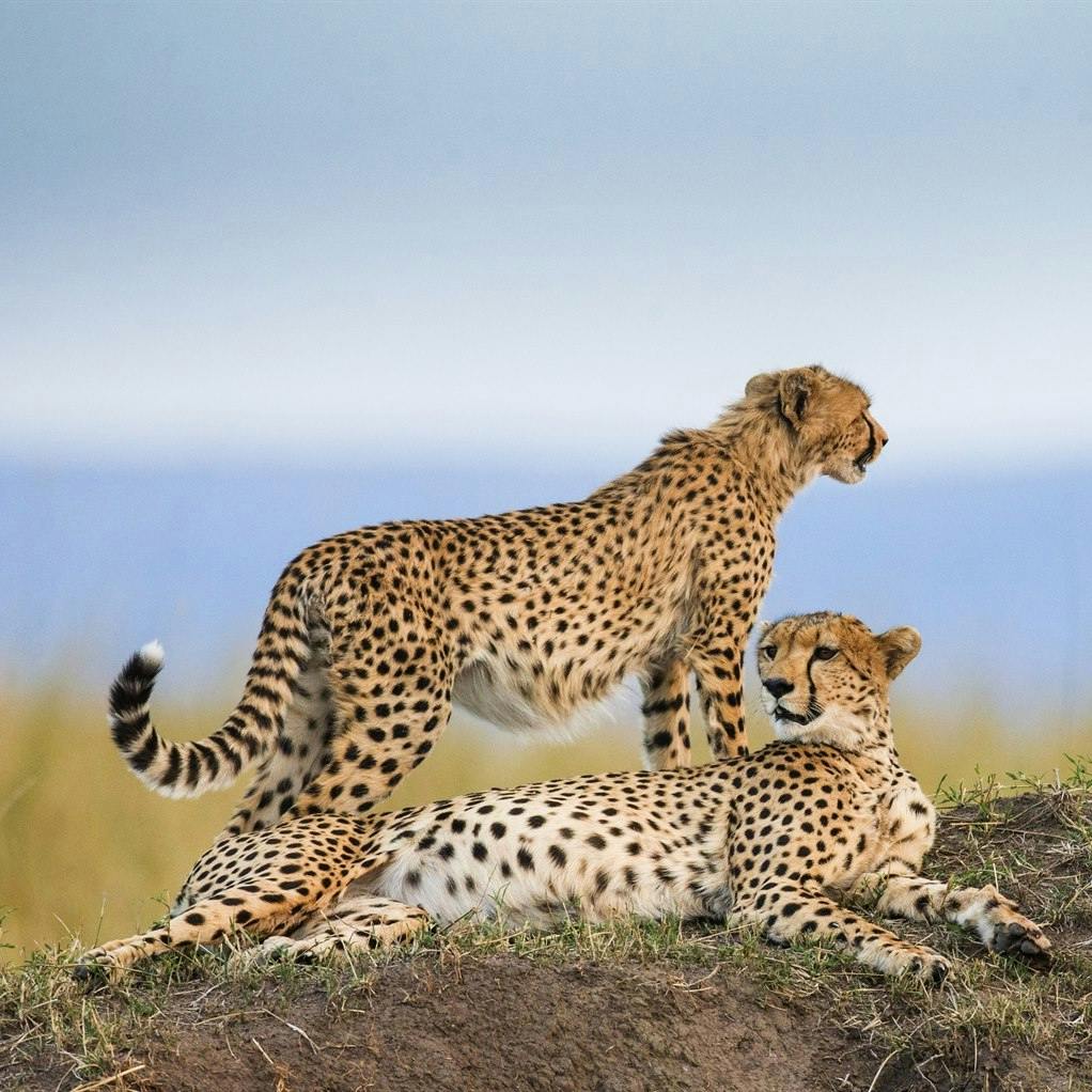 Serengeti National Park