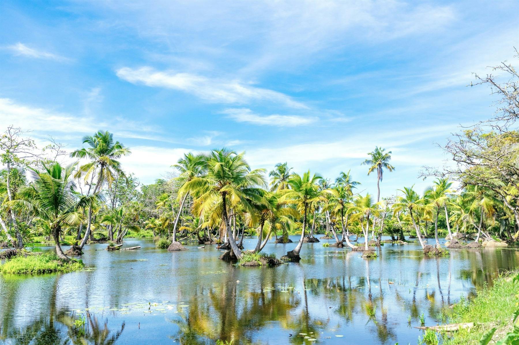 Wetland, Cheval Blanc Seychelles