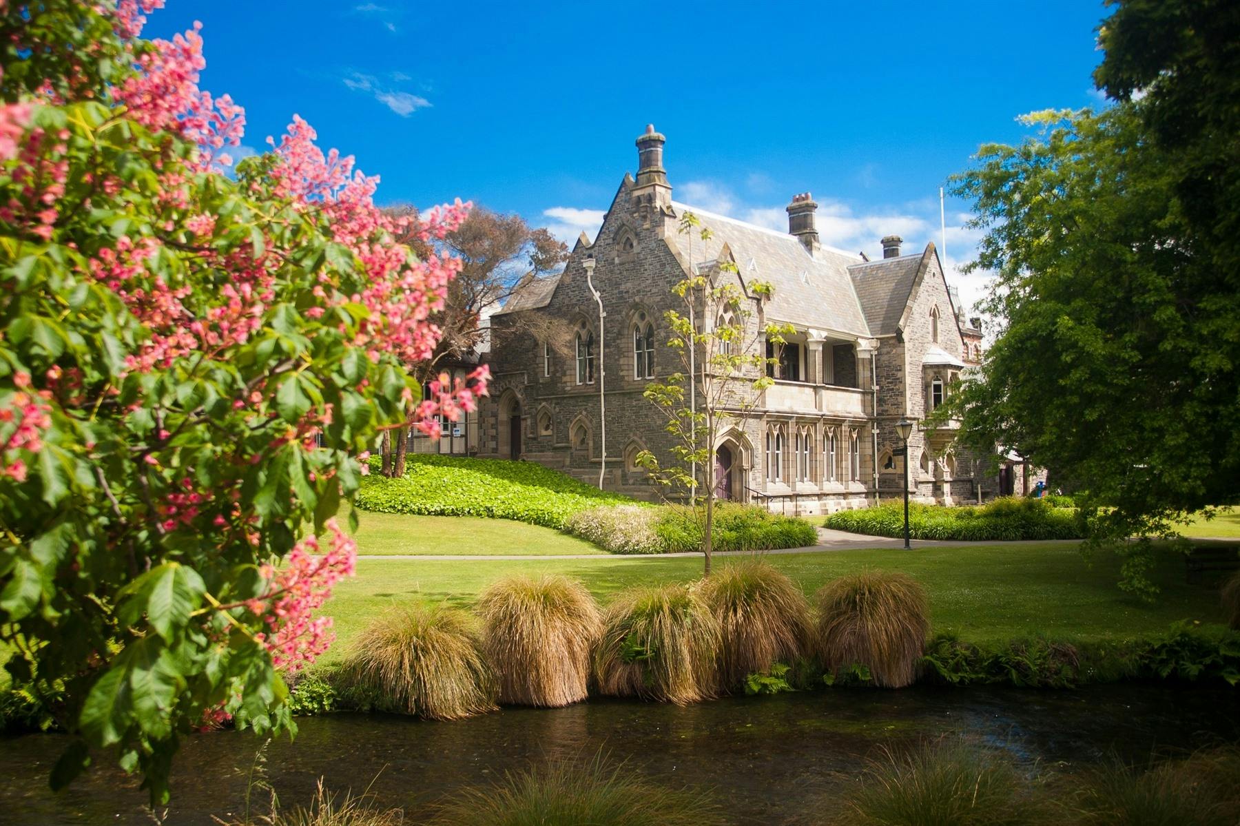 Fly UK to Christchurch