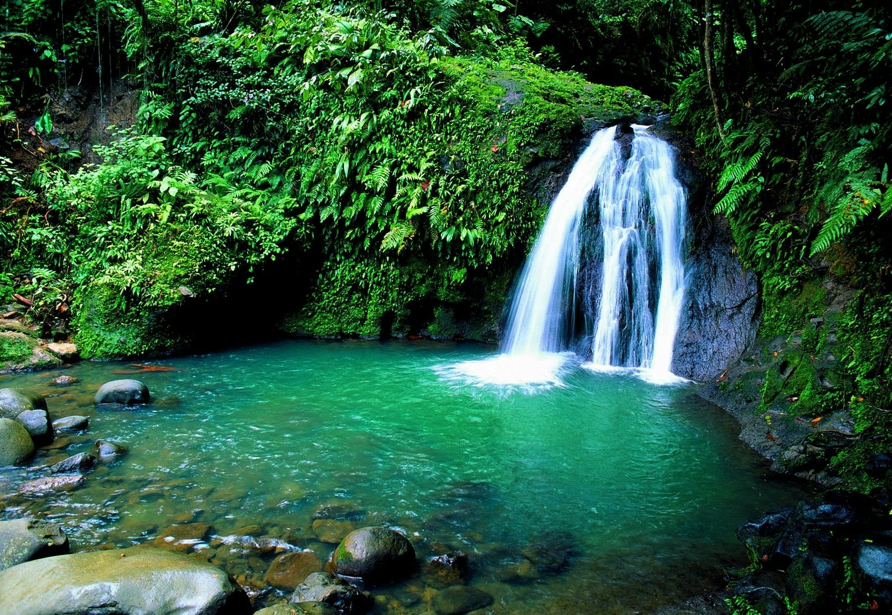 | Waterfalls and Rum Tasting in Basse-Terre