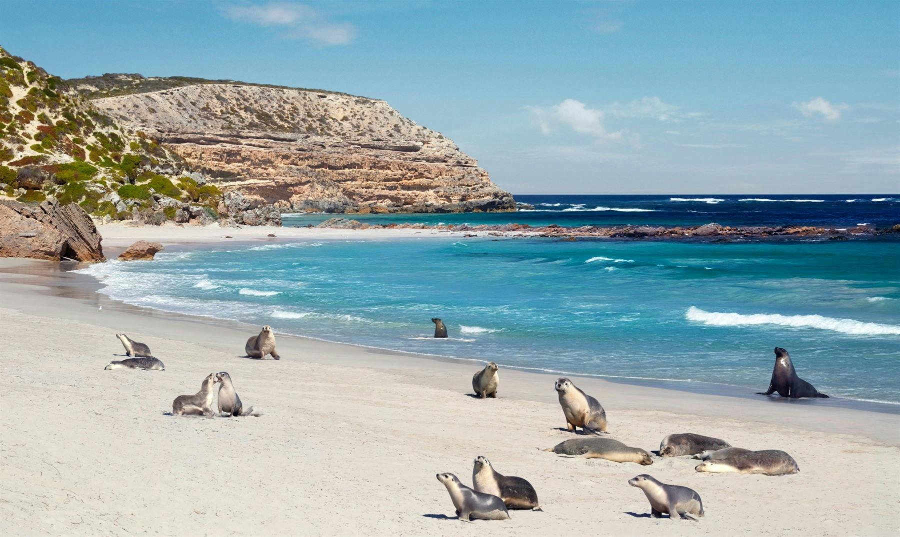 Kangaroo Island