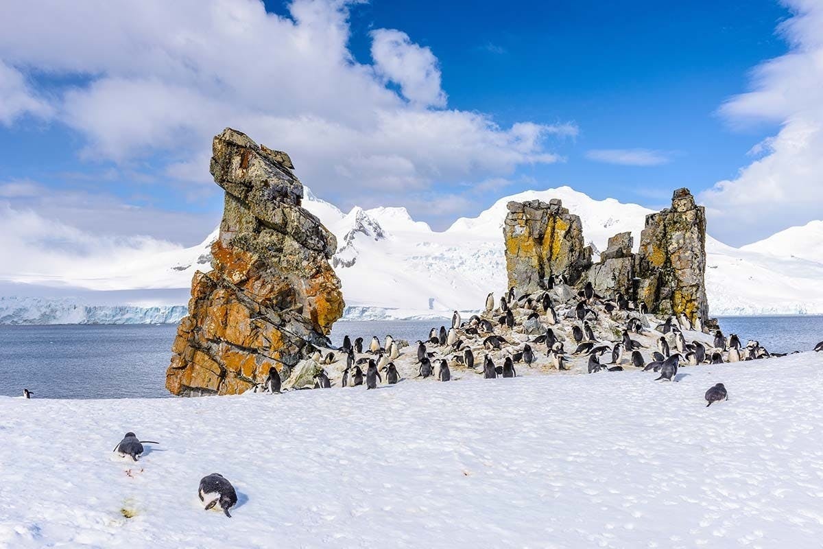 South Shetland Islands, Antarctica
