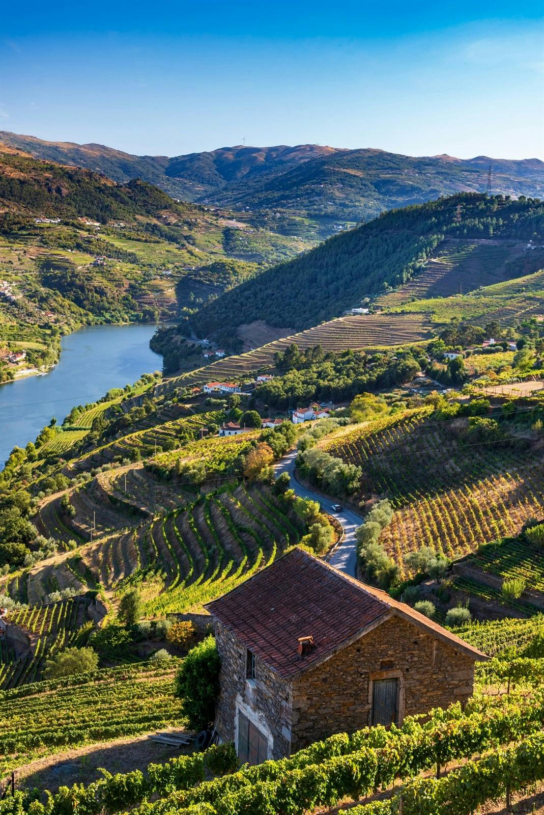 Day at Leisure in the Douro Valley