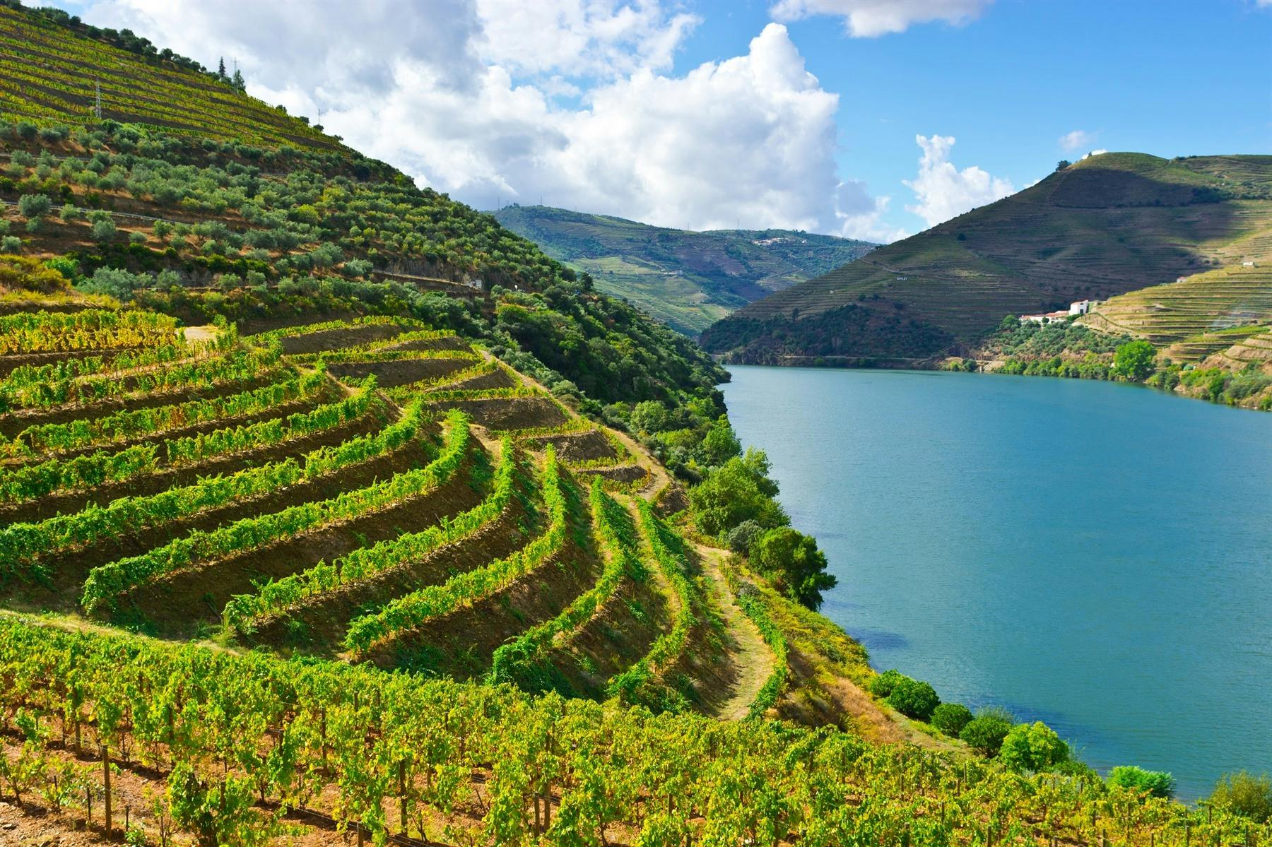 Porto to Douro Valley