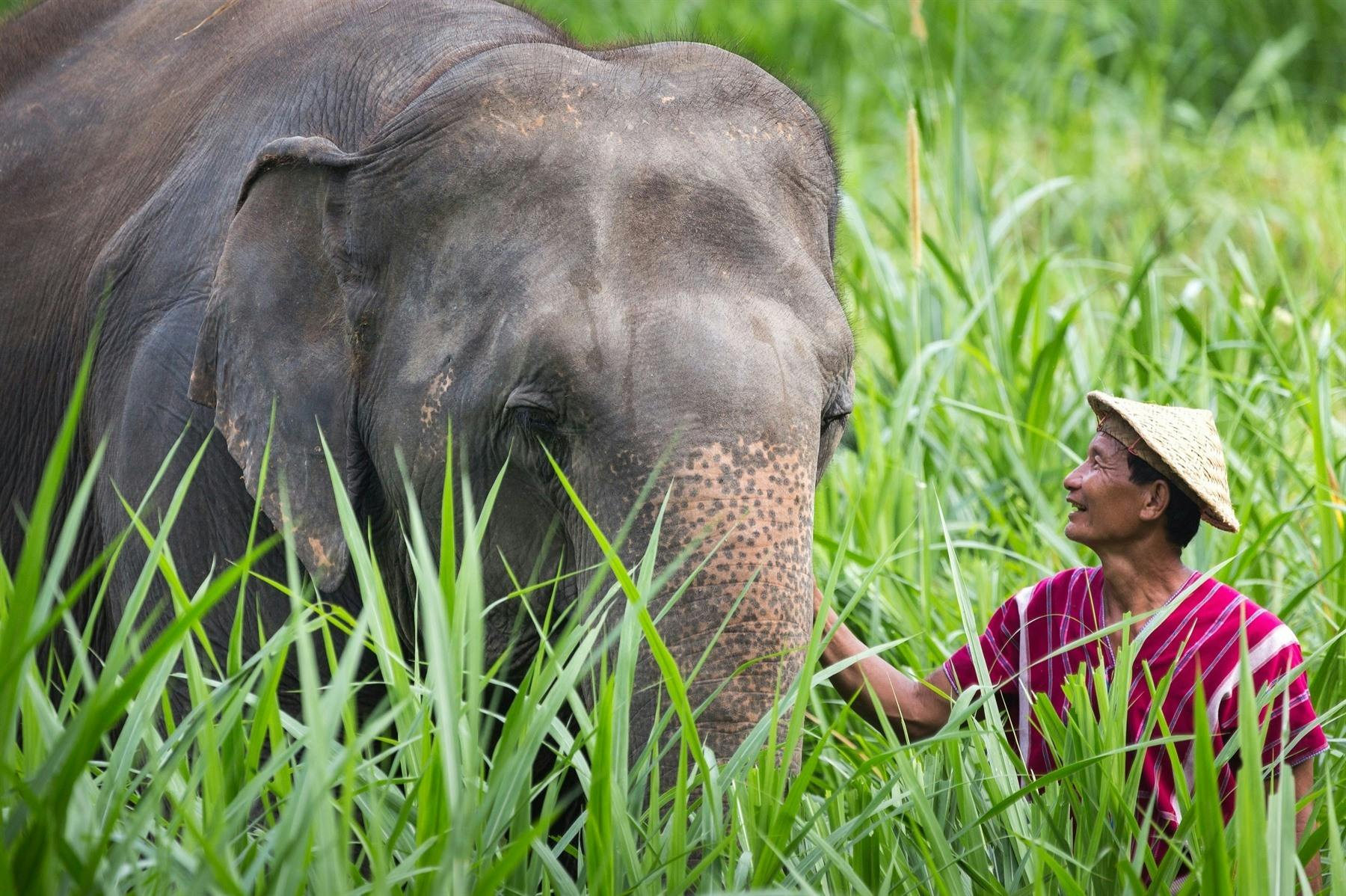 Bangkok to Elephant Hills